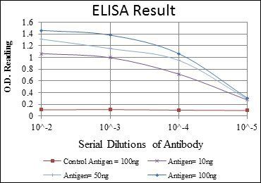 PODXL Antibody