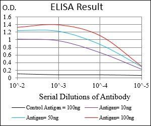 PON1 Antibody