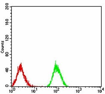 PPARA Antibody