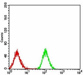 PPARA Antibody