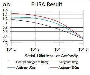 PPM1A Antibody