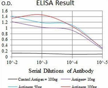 PPP1CB Antibody