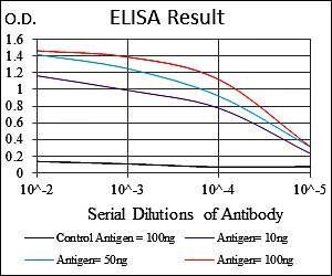 PPP2R4 Antibody