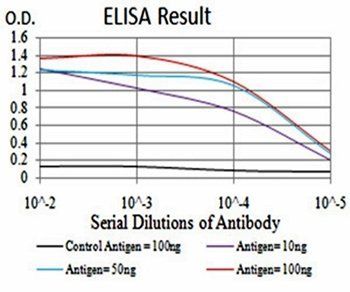 PRDM5 Antibody