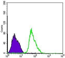 PRKAA1 Antibody