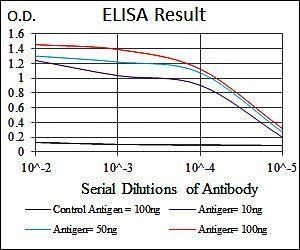 PRKACG Antibody