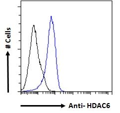 HDAC6 antibody