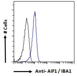 Interferon gamma antibody