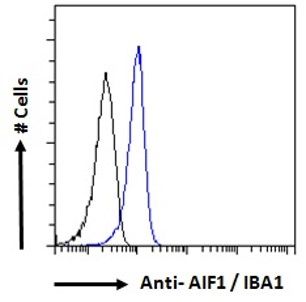 Goat anti-AIF1 / IBA1 (isoform 3) Antibody