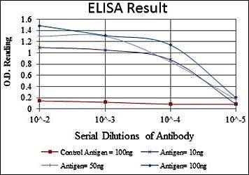 PSIP1 Antibody