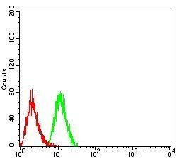 PSMC3 Antibody