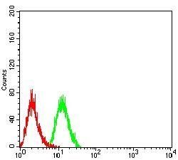 PSMC3 Antibody