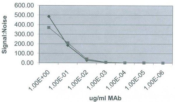 PTH rP antibody