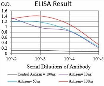 PTPN1 Antibody