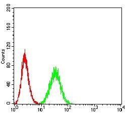 PTPN14 Antibody