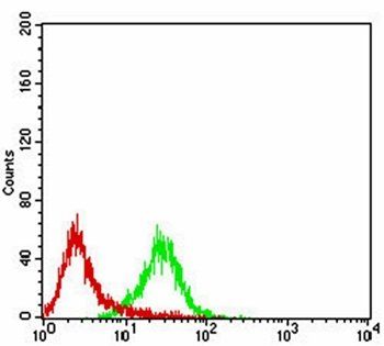 PTPN6 Antibody