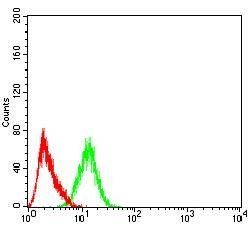 PYCARD Antibody