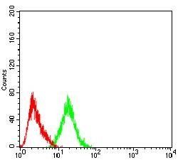 PYCARD Antibody