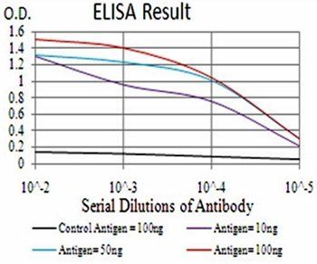 RAB11FIP1 Antibody