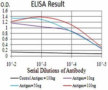 RAB11FIP1 Antibody