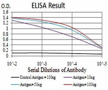 Rab13 Antibody