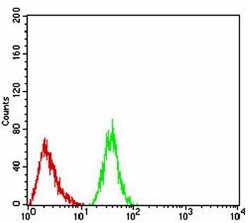 Rab1b Antibody