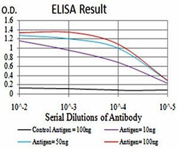 Rab3a Antibody