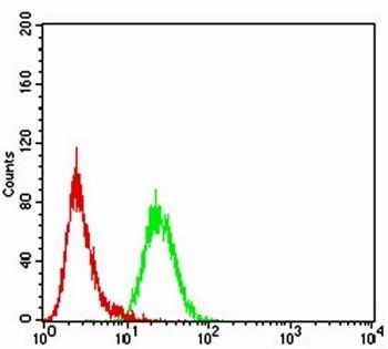 Rab5a Antibody