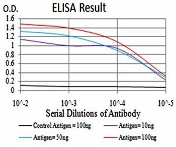 Rab5a Antibody