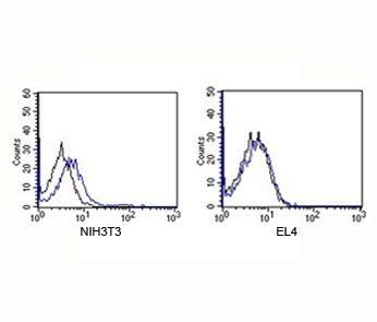 Rabbit IgG Isotype Control Polyclonal Antibody APC Conjugate