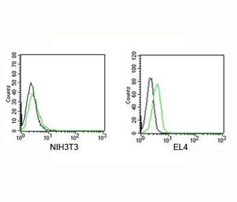 Rabbit IgG Isotype Control Polyclonal Antibody FITC Conjugate