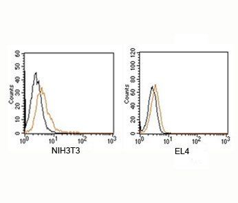 Rabbit IgG Isotype Control Polyclonal Antibody PE Conjugate