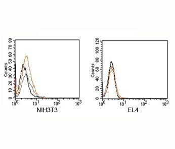 Rabbit Isotype Control Polyclonal Antibody