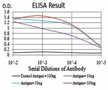 RAD21 Antibody