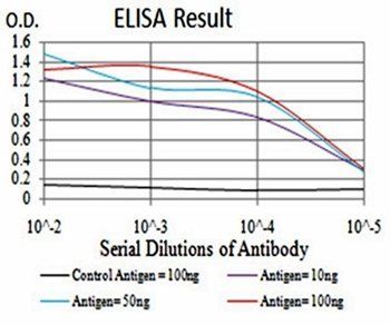 RAD23A Antibody