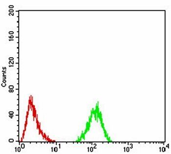 RAD50 Antibody