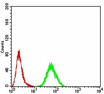 RALA Antibody