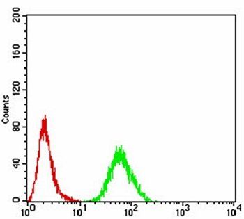 RALA Antibody