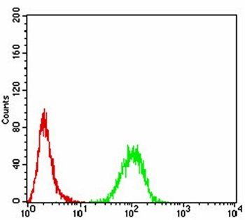 RALA Antibody