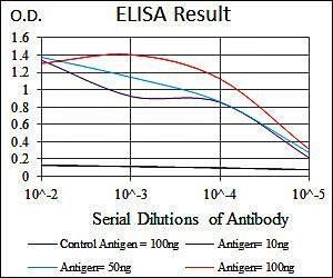 RAP1A Antibody