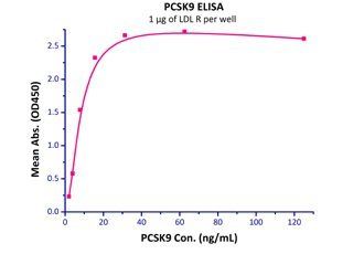 Rat PCSK9 Protein