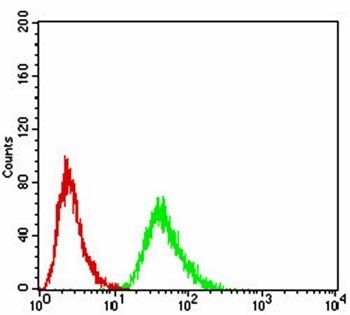 RF1 Antibody