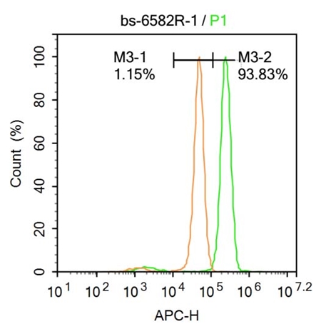RNA polymerase II CTD repeat YSPTSPS (phospho-Ser5) antibody