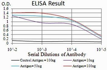 RND3 Antibody