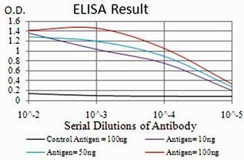 RND3 Antibody