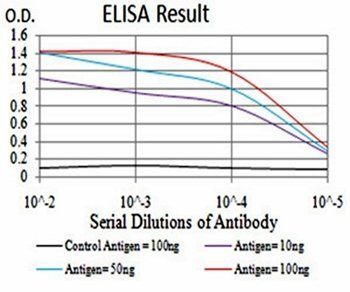 RNLS Antibody