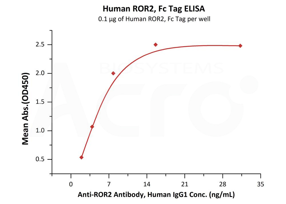 Human ROR2 / NTRKR2 Protein