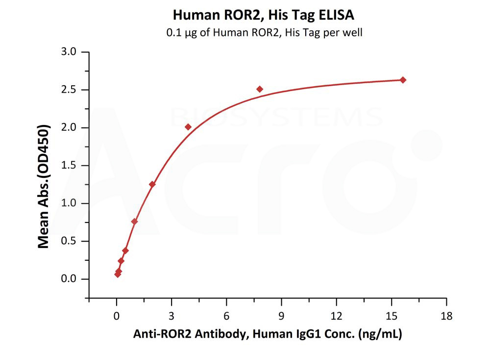 Human ROR2 / NTRKR2 Protein