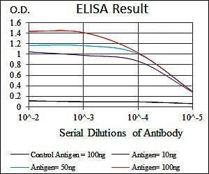 RPA1 Antibody