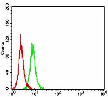 SALL4 Antibody